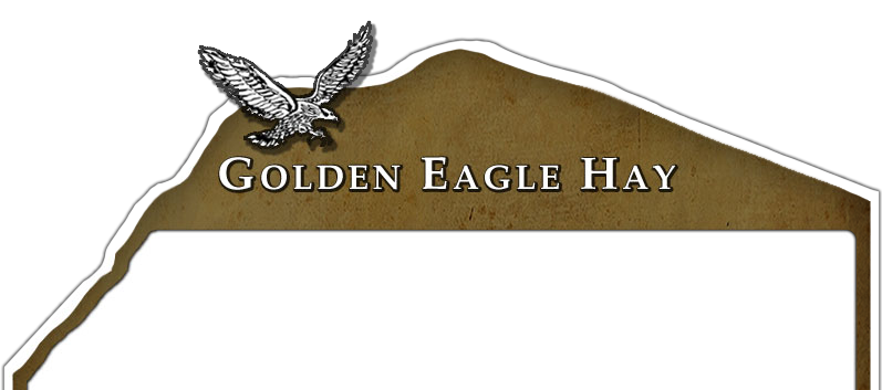 Golden Eagle Hay